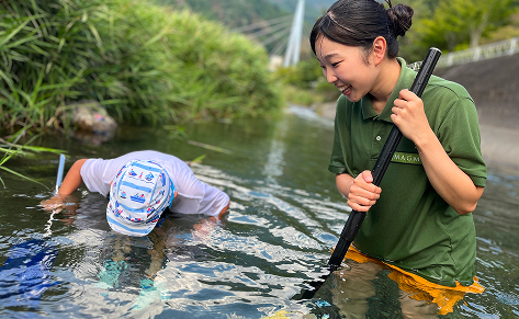 Grabbing trout in a stream
