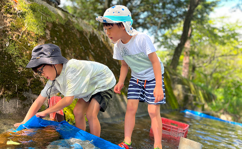 Kids looking into the river researching the life there.